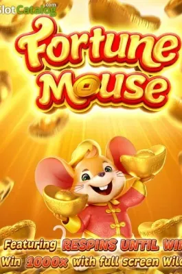 Fortune Mousse en BETBOX COM